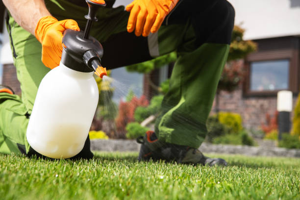 Best Bed Bug Extermination  in Weslaco, TX