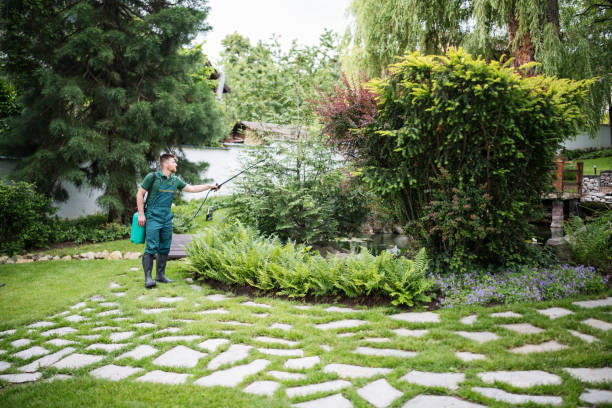 Professional Pest Control in Weslaco, TX