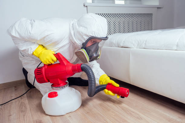 Best Residential Pest Control  in Weslaco, TX
