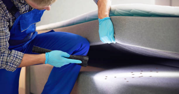 Best Pest Control Near Me  in Weslaco, TX